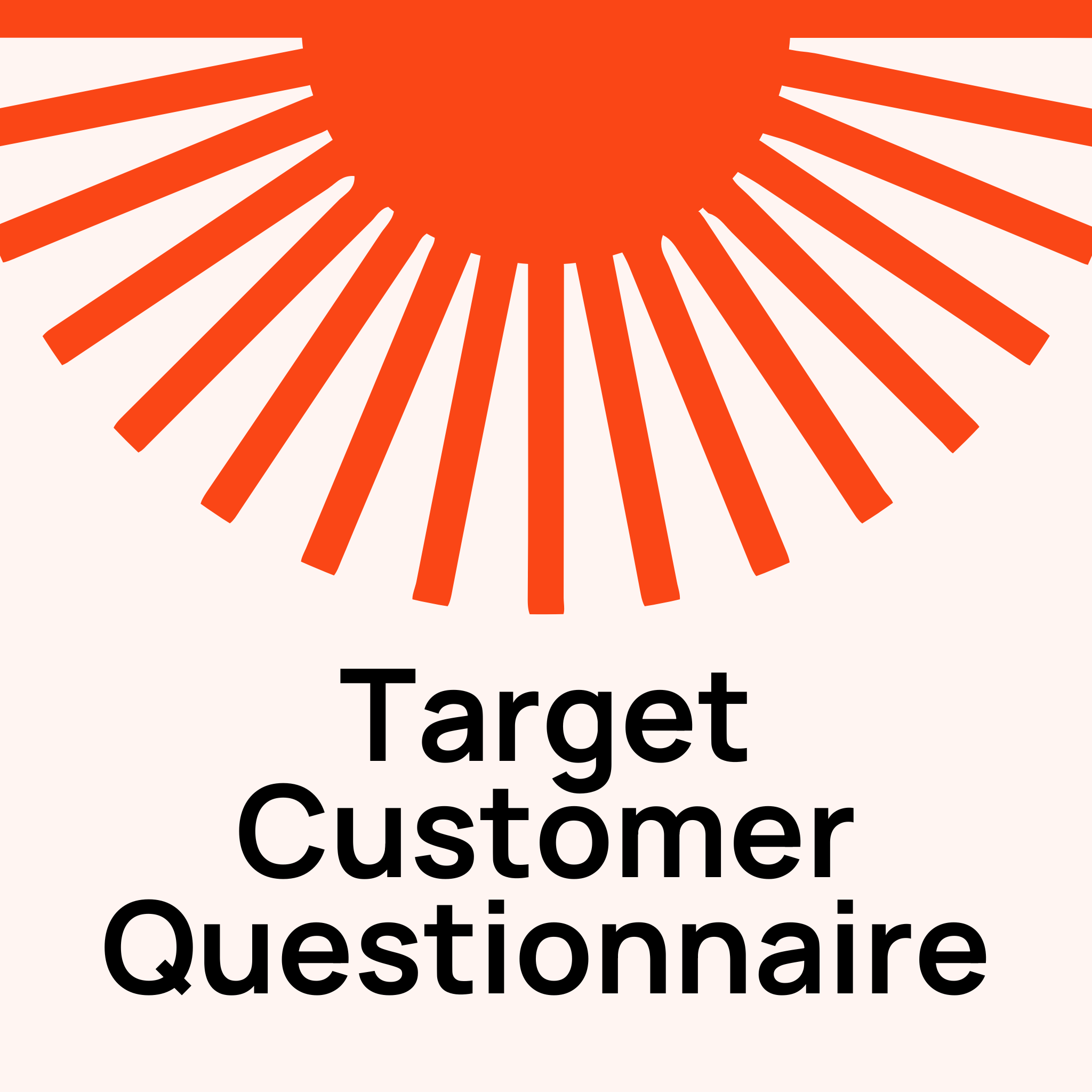Target Customer Questionnaire